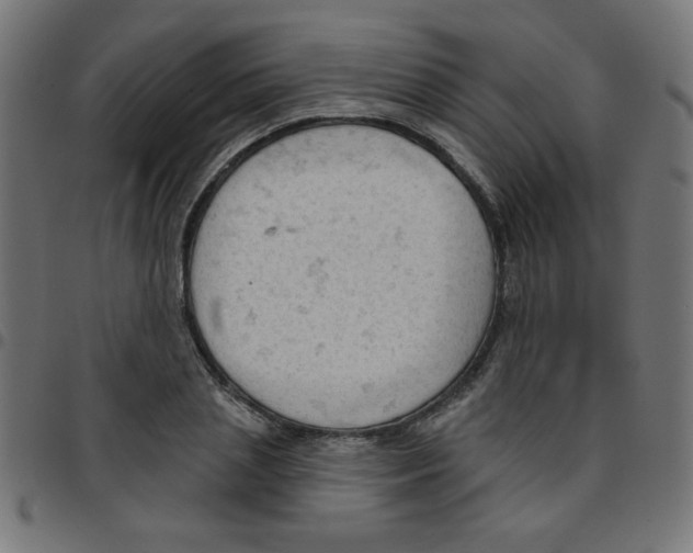 X0000096950837200803071026