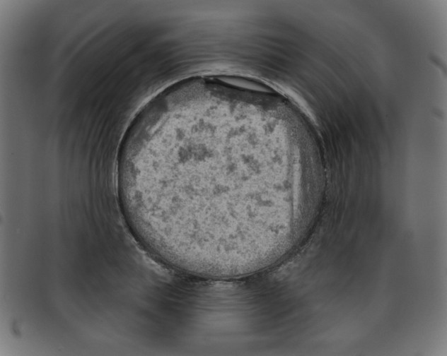 X0000096950839200803071026