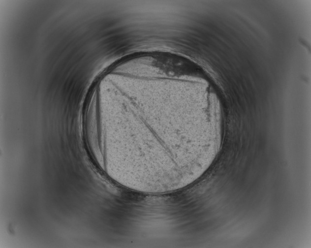 X0000096950840200803071026