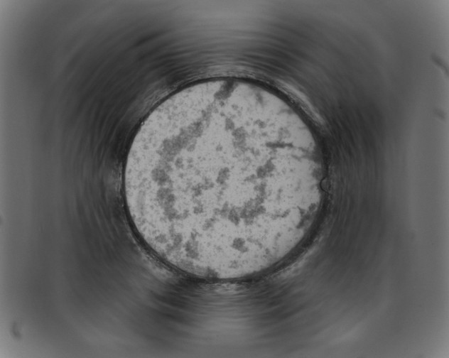X0000096950841200803071026