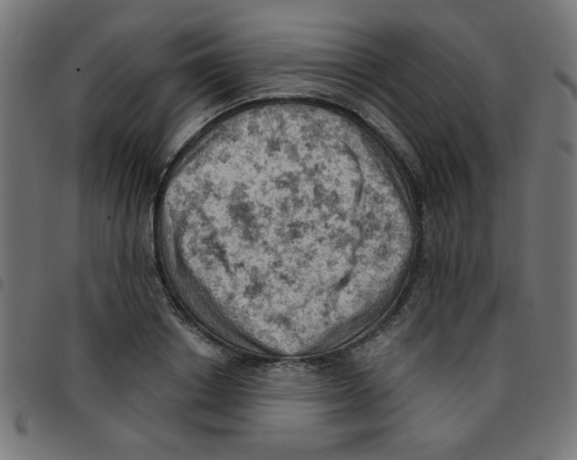 X0000096950842200803071026