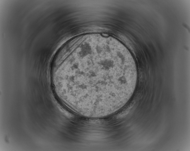 X0000096950843200803071026