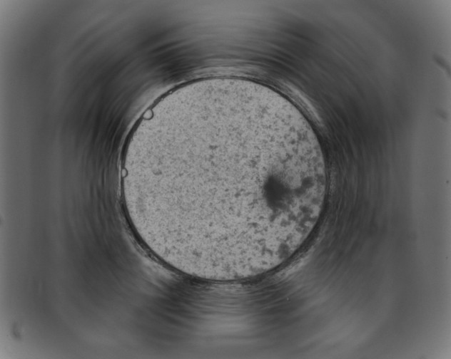 X0000096950844200803071026