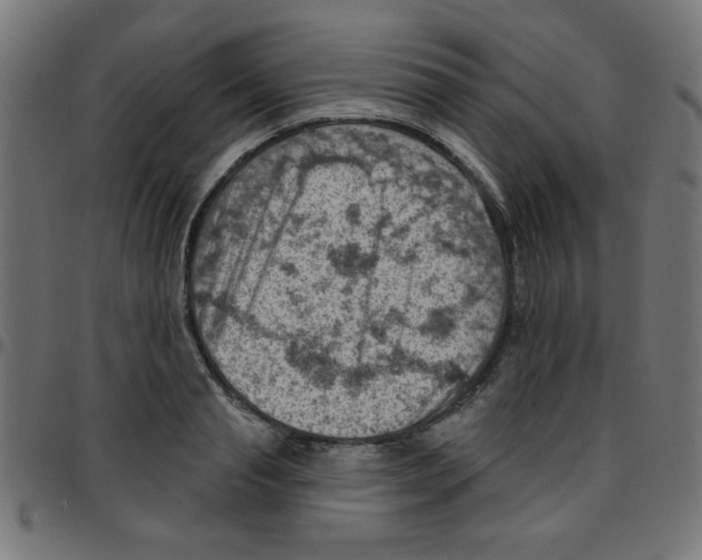 X0000096950845200803071026