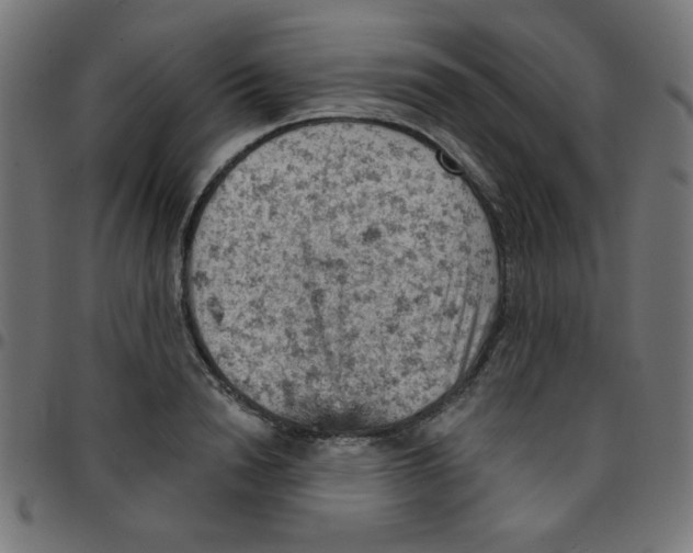 X0000096950846200803071026