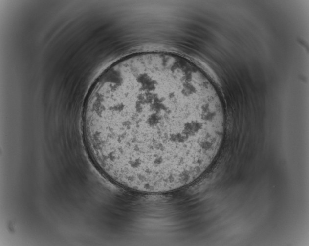X0000096950847200803071026