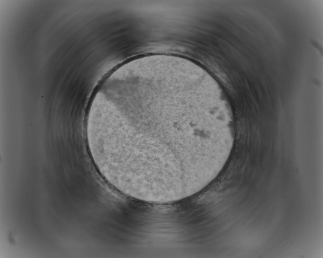 X0000096950848200803071026