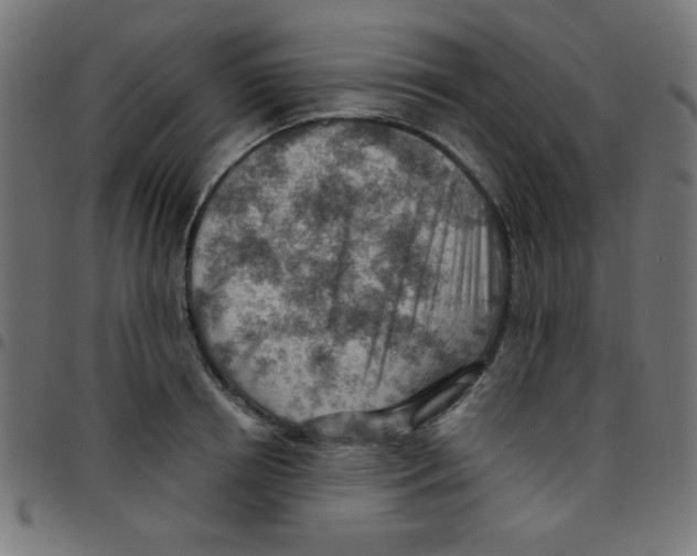 X0000096950850200803071026