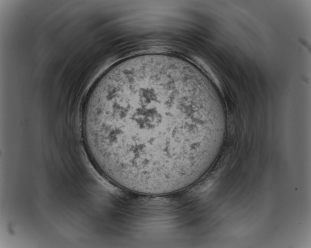X0000096950851200803071026
