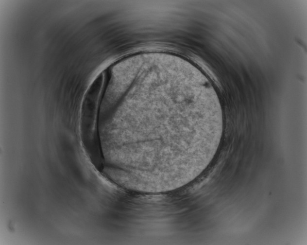X0000096950853200803071026