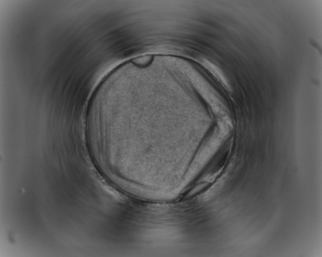 X0000096950854200803071026
