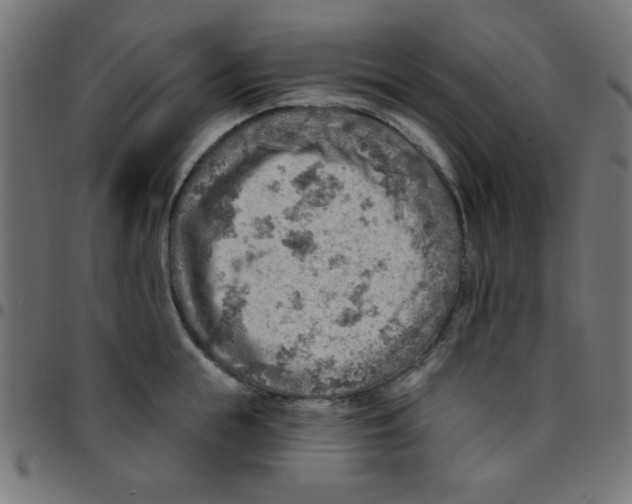 X0000096950855200803071026