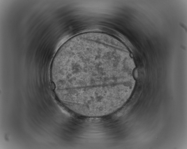 X0000096950858200803071026