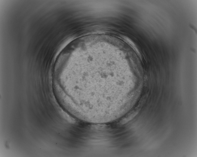 X0000096950859200803071026