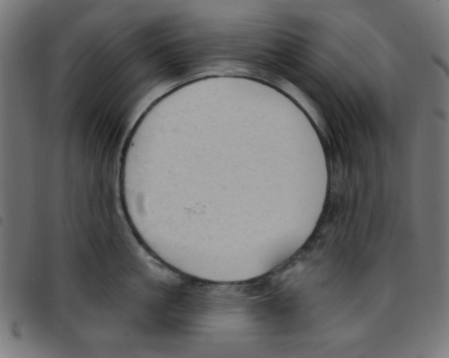 X0000096950861200803071026
