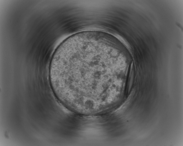 X0000096950862200803071026