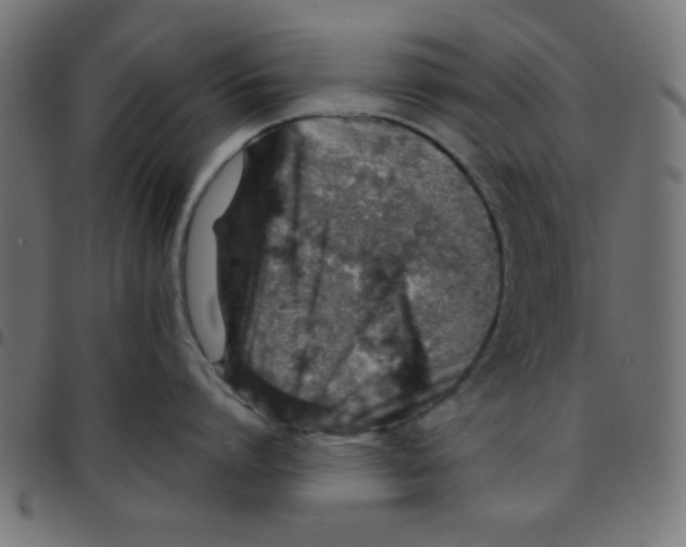 X0000096950864200803071026