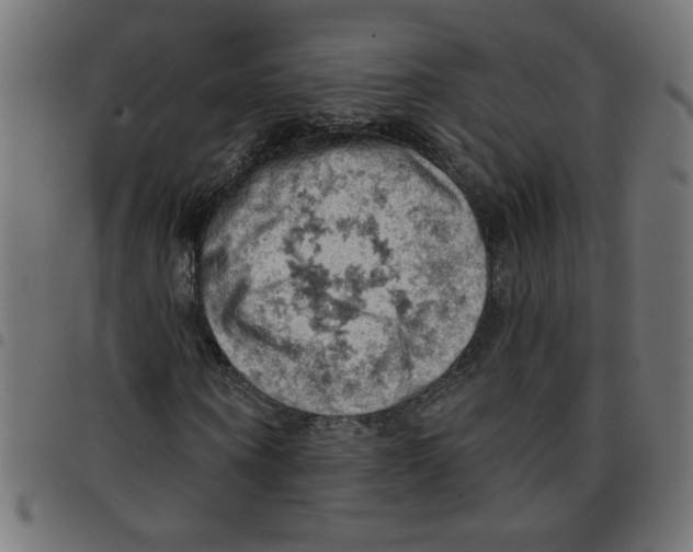 X0000096950866200803071026