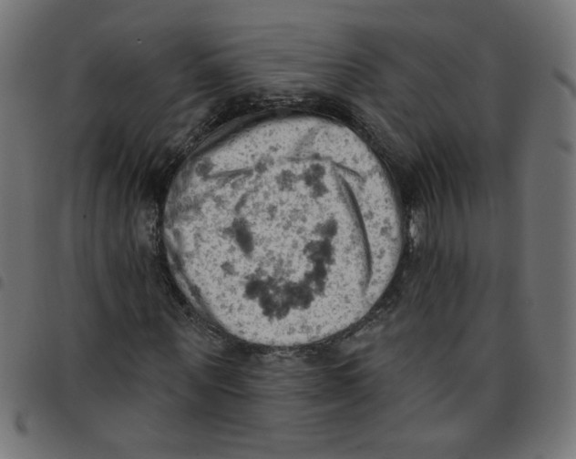 X0000096950867200803071026