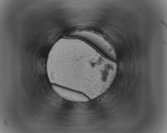 X0000096950868200803071026