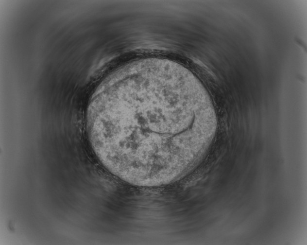 X0000096950870200803071026