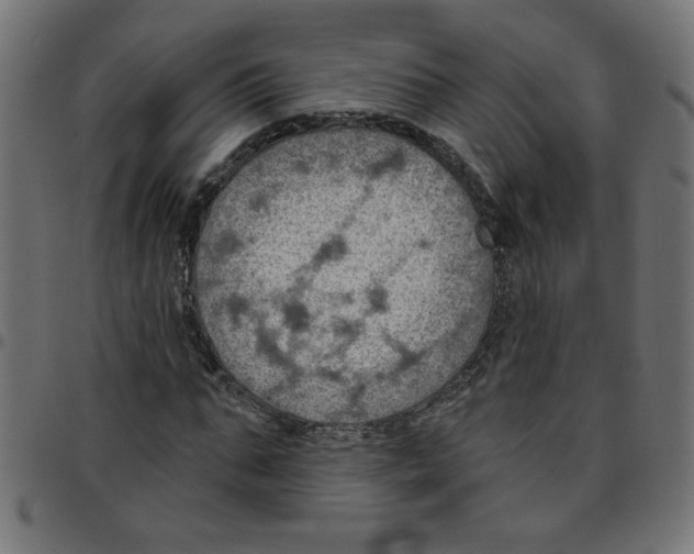 X0000096950871200803071026