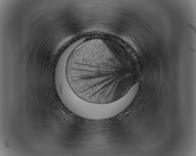 X0000096950872200803071026