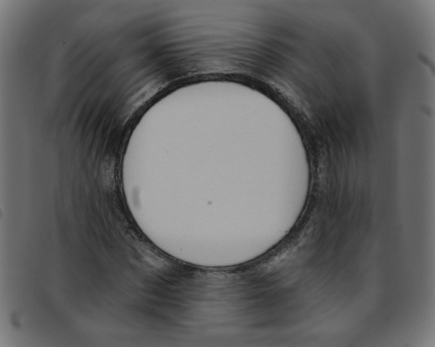 X0000096950873200803071026