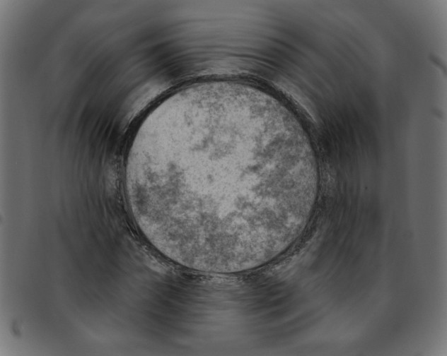 X0000096950874200803071026