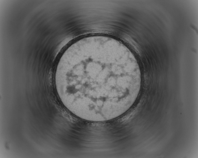 X0000096950875200803071026