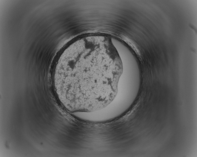 X0000096950876200803071026