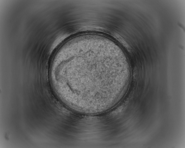 X0000096950877200803071026