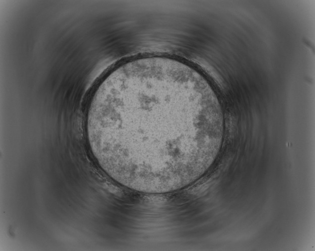 X0000096950878200803071026
