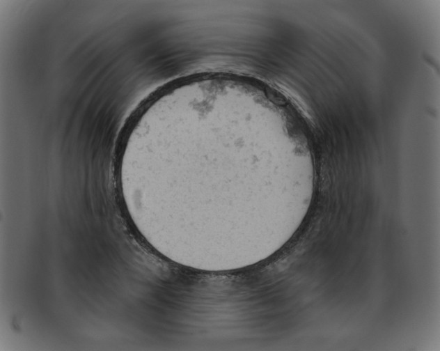 X0000096950880200803071026