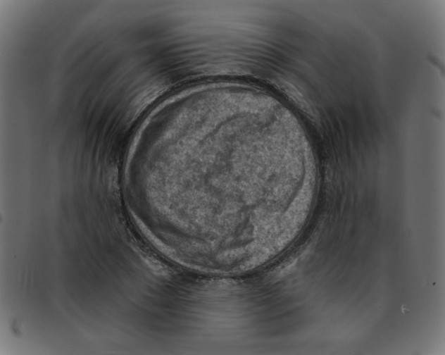 X0000096950881200803071026