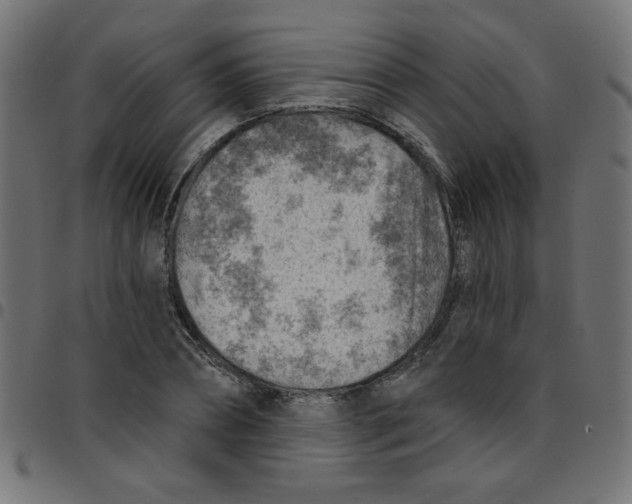 X0000096950882200803071026