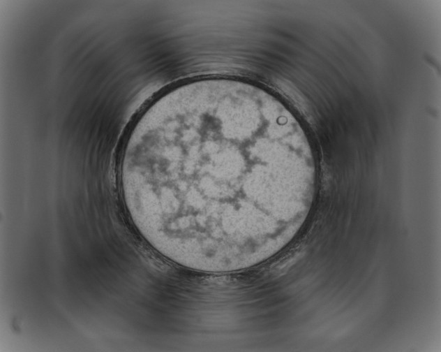 X0000096950883200803071026