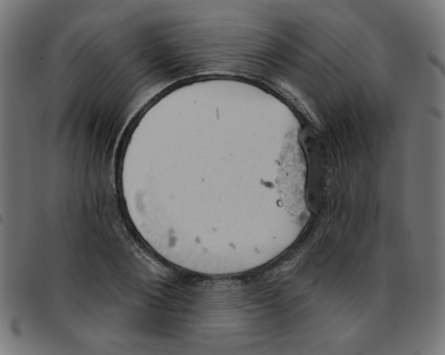 X0000096950884200803071026