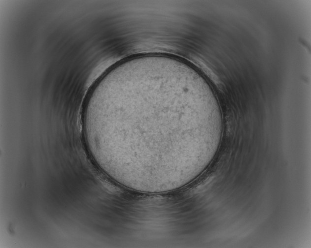 X0000096950885200803071026