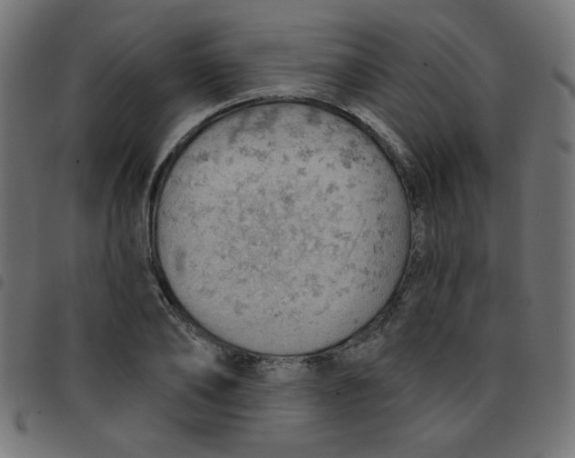 X0000096950886200803071026