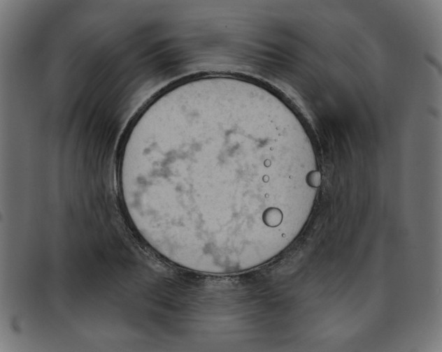 X0000096950887200803071025