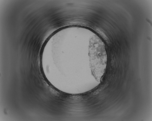 X0000096950888200803071025