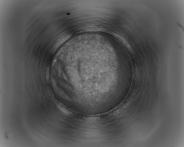X0000096950889200803071025