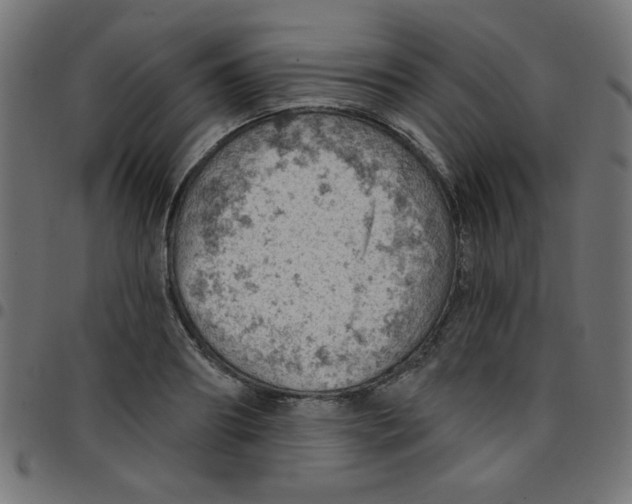 X0000096950890200803071025