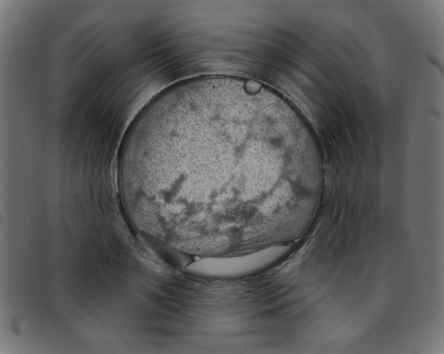 X0000096950891200803071025