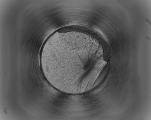 X0000096950892200803071025