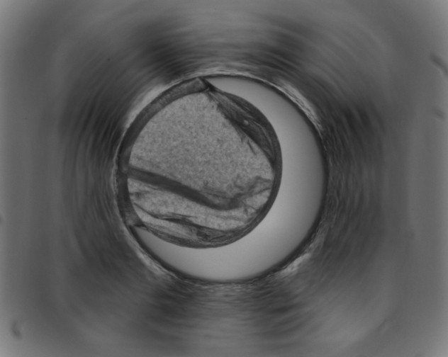 X0000096950893200803071025