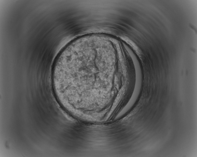 X0000096950894200803071025