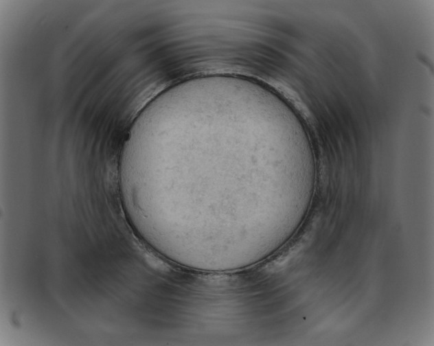 X0000096950897200803071025