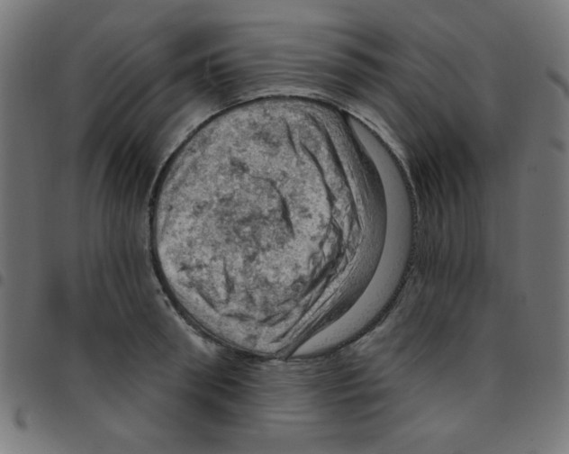 X0000096950898200803071025